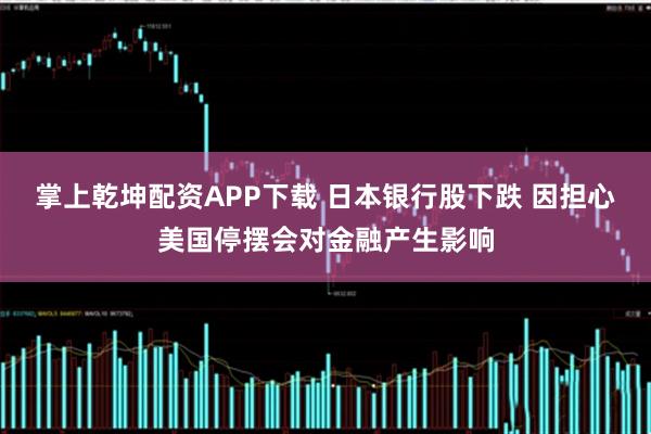 掌上乾坤配资APP下载 日本银行股下跌 因担心美国停摆会对金融产生影响
