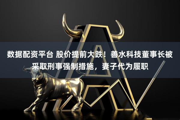数据配资平台 股价提前大跌！善水科技董事长被采取刑事强制措施，妻子代为履职