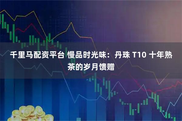 千里马配资平台 慢品时光味：丹珠 T10 十年熟茶的岁月馈赠