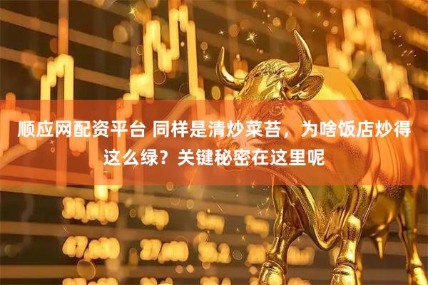 顺应网配资平台 同样是清炒菜苔，为啥饭店炒得这么绿？关键秘密在这里呢